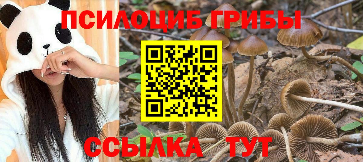 закладка  Галлюциногенные грибы MAGIC MUSHROOMS  Вход с VPN  Старая Русса 