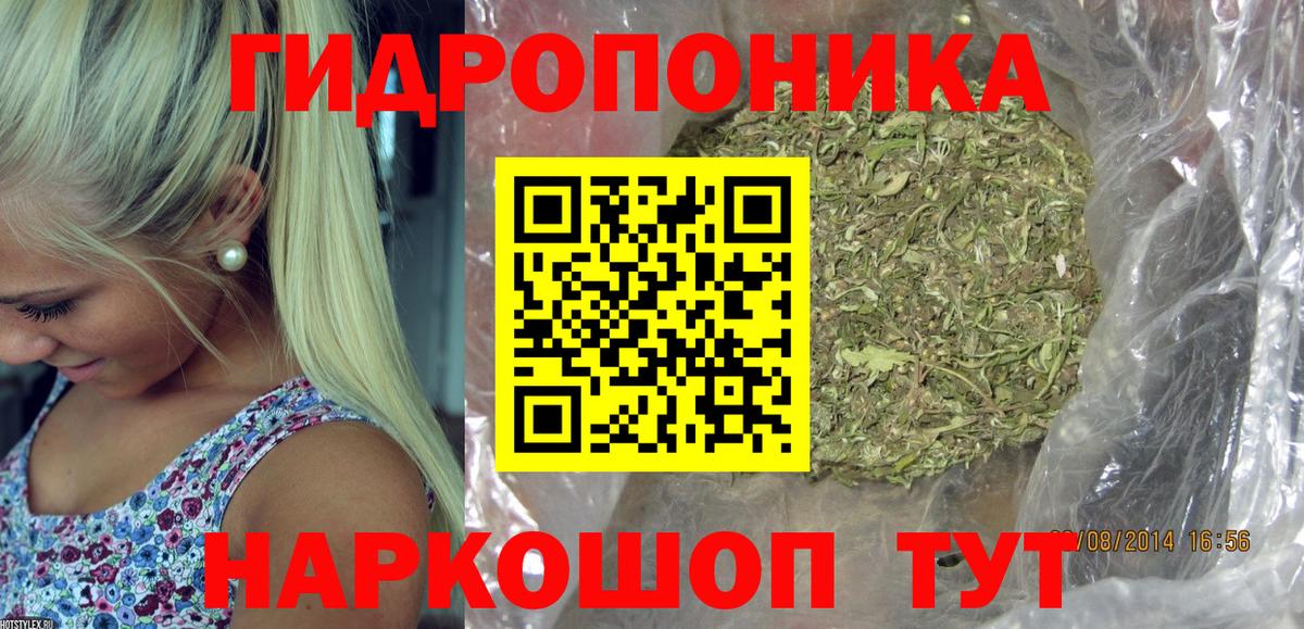Бошки Шишки White Widow  Бошки марихуана THC 21%  Старая Русса  Канабис тримм  Вход с VPN 